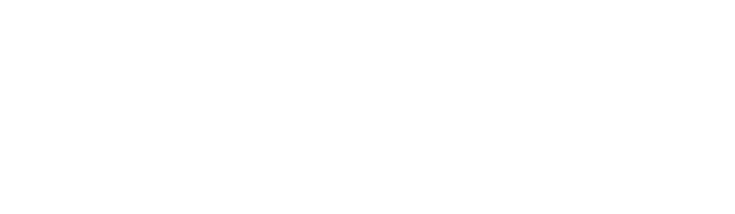 Logo VINI White